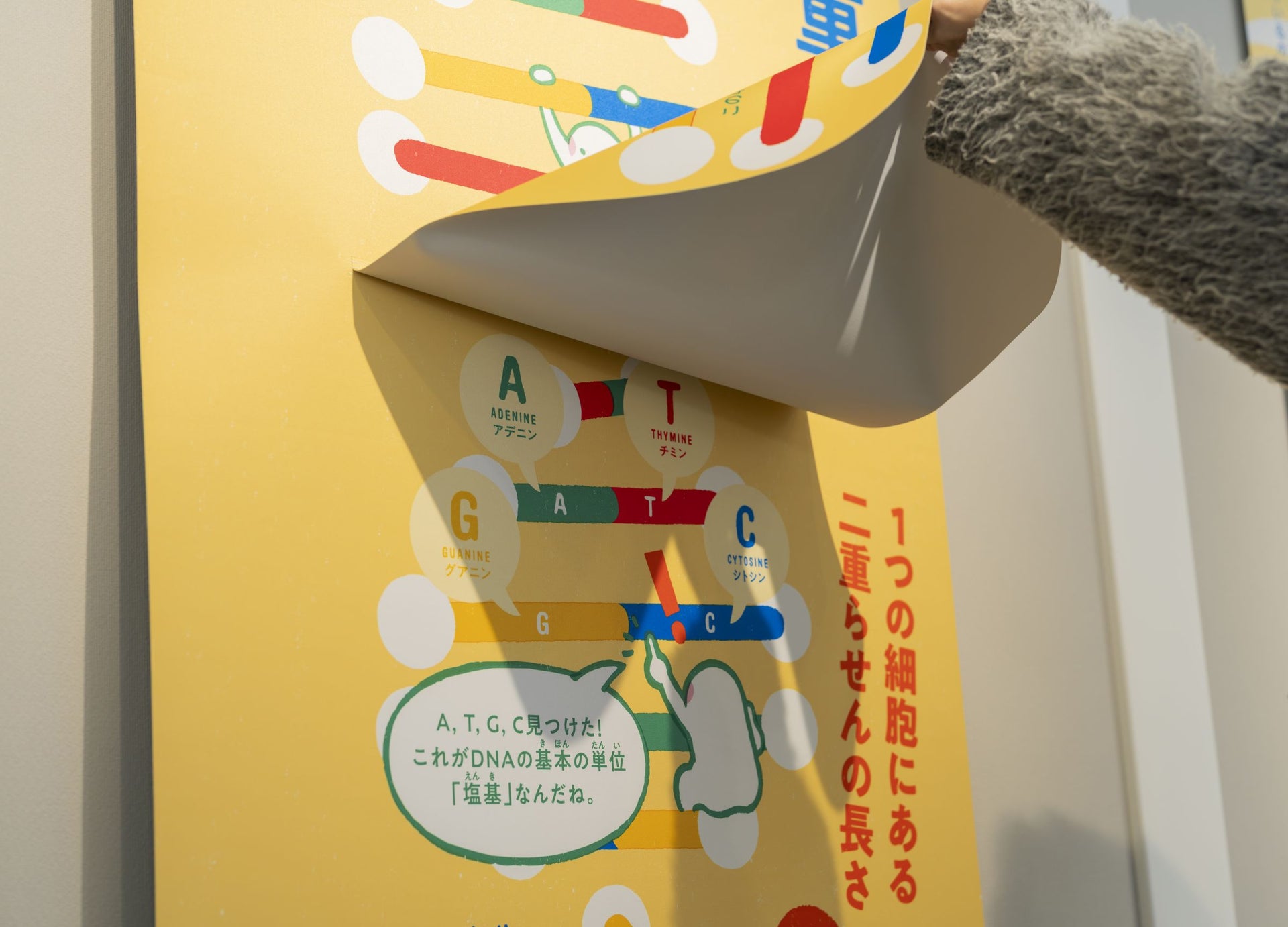 仙台市科学館　常設展示「ATGCナノの旅」6